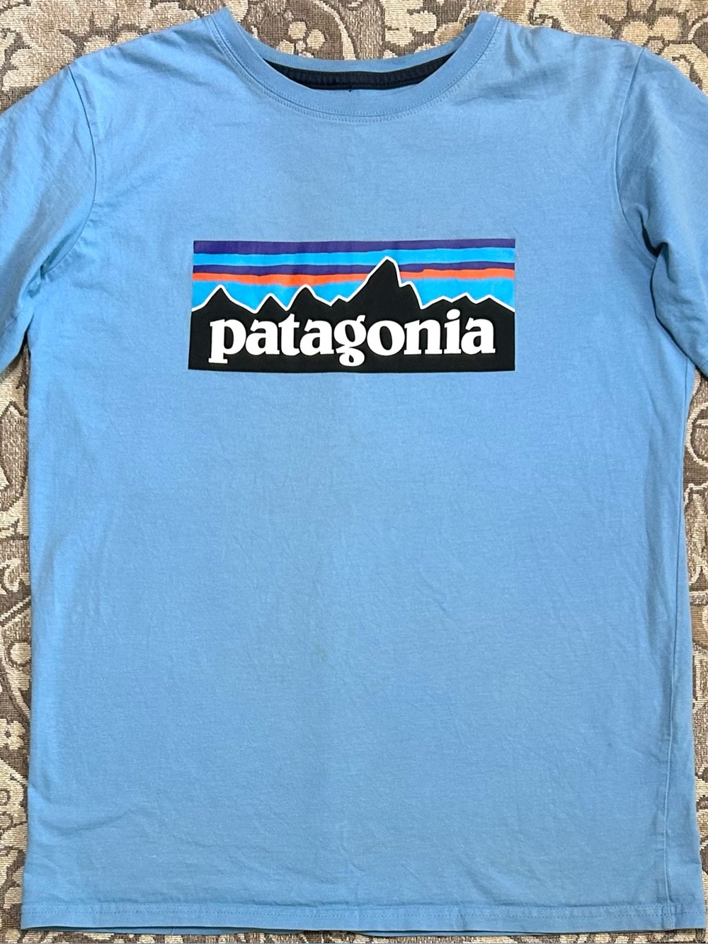 Patagonia Youth XL /Ladies Small Short Sleeve Light Blue T-shirt
